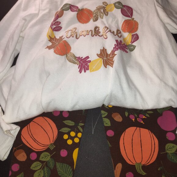 *Pre-Owned Children's Place Brown Matching Pants Set with Fall Season Accents* - Picture 7 of 9